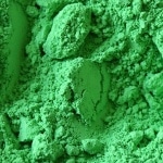 Groen Vert Perroquet